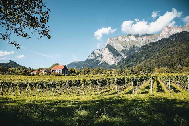Weingut Pola, Maienfeld, GR.