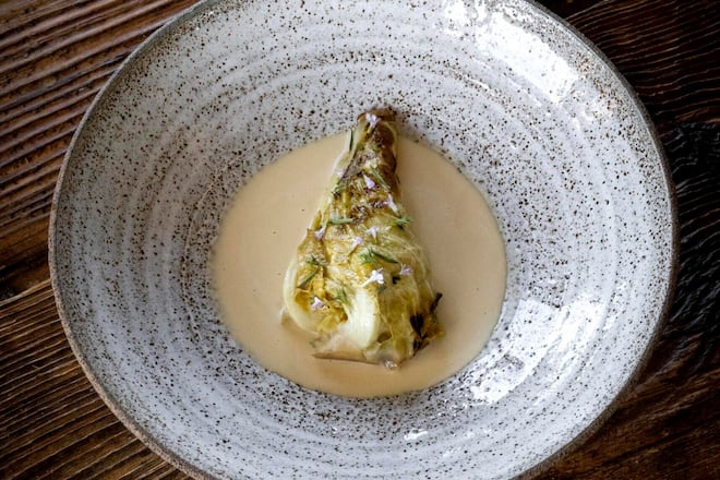 Spitzkohl Domink Hartmann