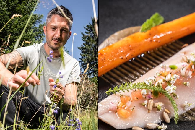 Cueillette sauvage Jérémie Cordier