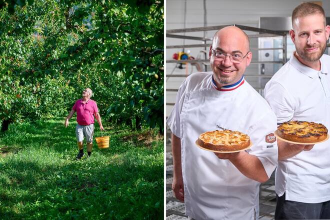 Abricot Léguriviera Bread Store