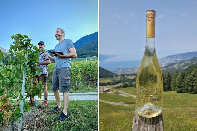 Vin du mois de juillet elitis