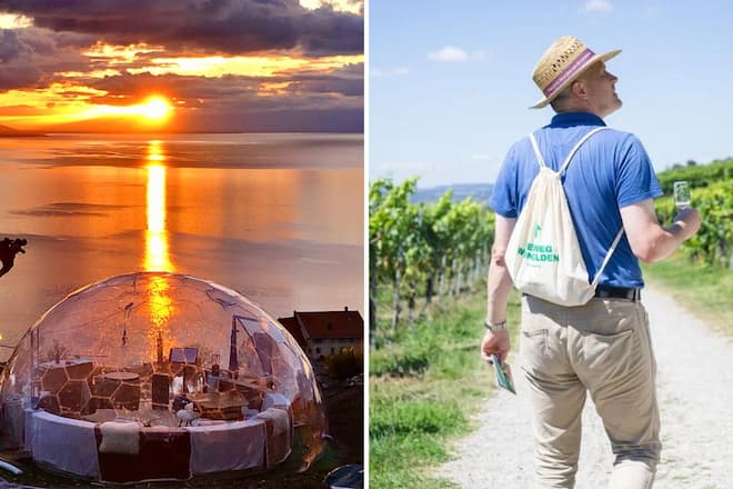 Best of Wine Tourism