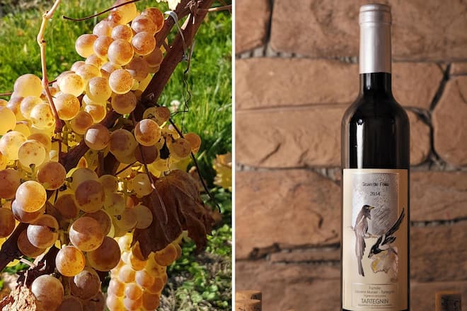 Vin du mois de novembre