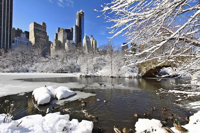 Central Park New York Winter