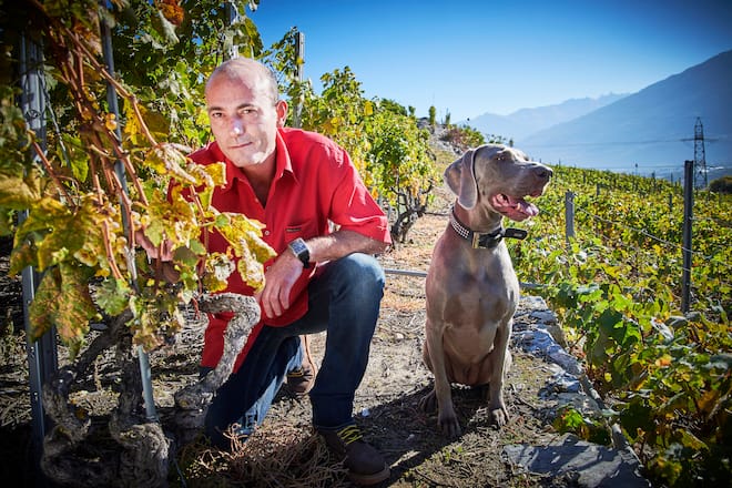 Vetroz, le 7, 8, 9 octobre 2018, Samuel Destaing 17 points au Gault&Millau, â¡ la RÃgence Balavaud avec sa Chienne Jesse © sedrik nemeth