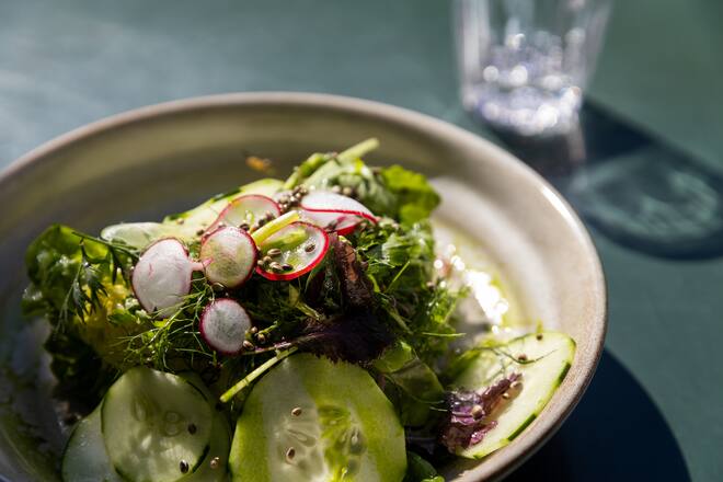 Zürich Tourismus_Wochende 2_Vegane TourFotografiert am 17 und 17 SeptemberMittagessen im OssoLattich/Wildkräuter/Radiesli/Gurke/Hanfsamen