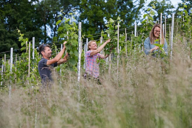 Bioweingut Roland und Karin Lenz, Uesslingen, TG