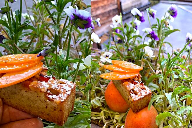 Financier à l’aquilée millefeuille et abricot du Valais Franck Reynaud