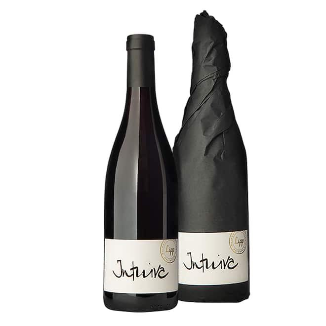 Intuiva, der Tiefgründige