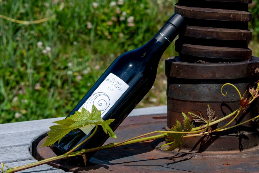 14.05.2020 - Fechy / La Colombe Vin.                 Nom : Laura Paccot et son Raymond.                Laura est la 4ème génération à reprendre l'entreprise après le père Raymond.                   Photo Darrin Vanselow © L'illustre