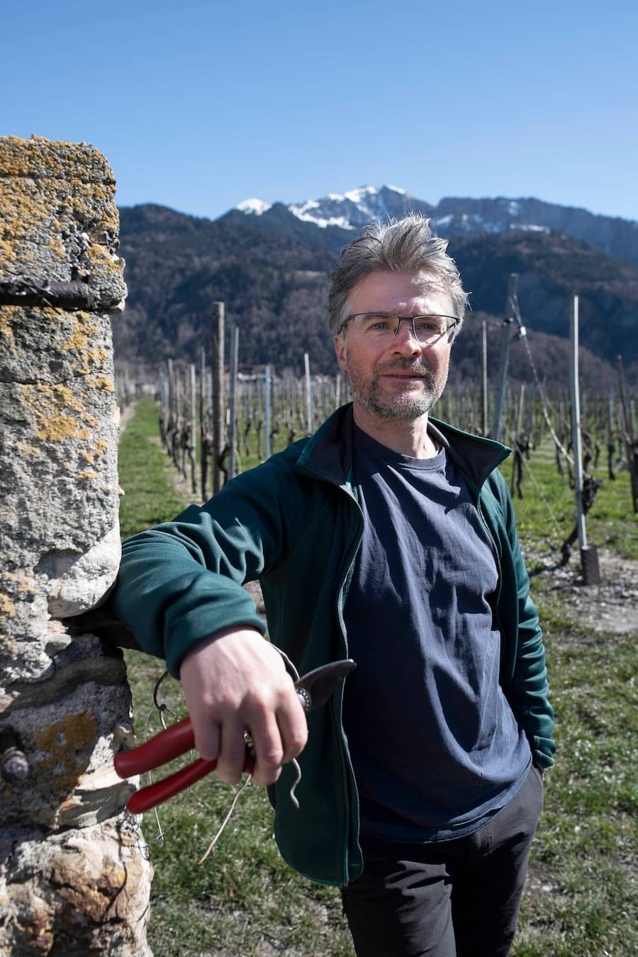 Sven Fr�ch in den Reben,Jenins, Graub� Herrschaft, Schweiz, Suisse, Svizzera, Switzerland,