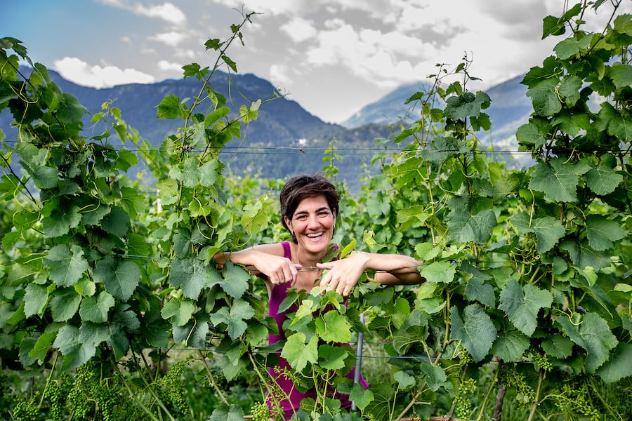 Carina Lipp Weingut & Destillerie