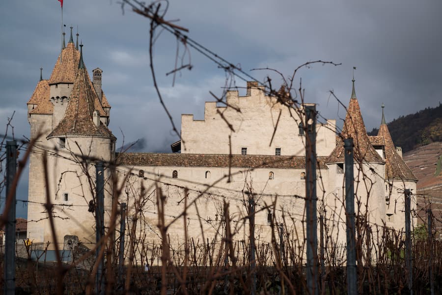 Les vignerons Alain et Marc Emery sur leur domaine à Aigle