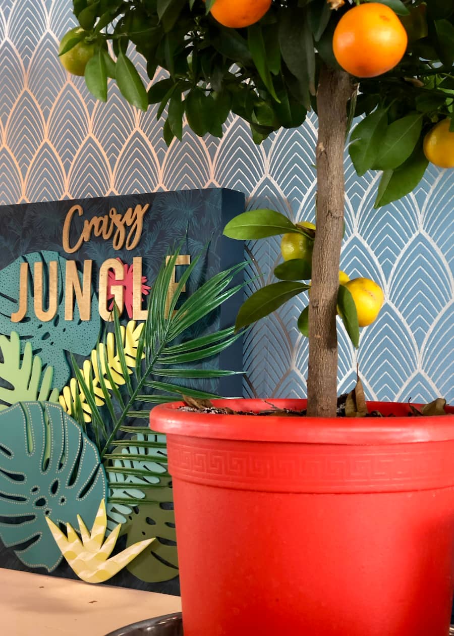 gandhi cafe geneve les paquis