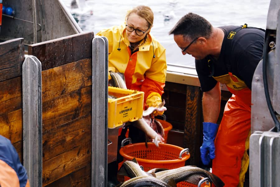 Kitchen Impossible mit Tanja Grandits