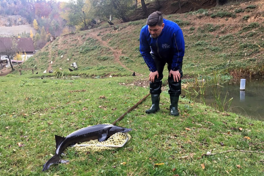 Kitchen Impossible mit Tanja Grandits
