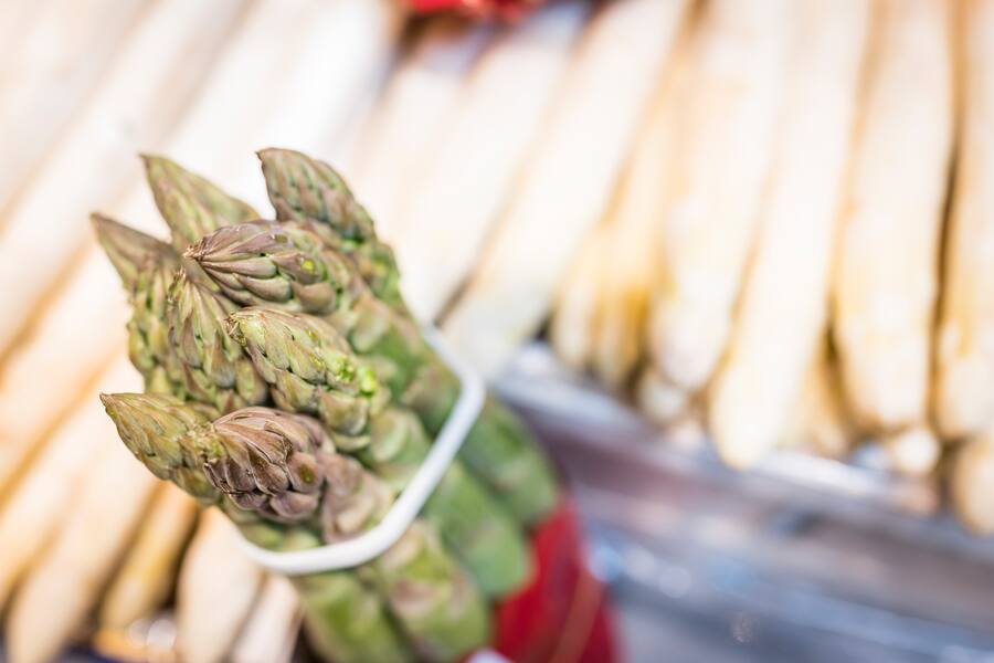 Globus Spargeln Vivian Carrere