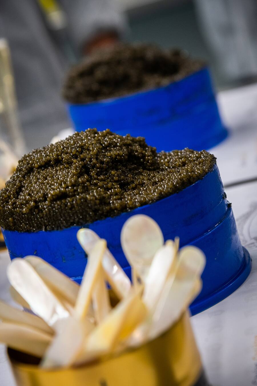 Kaviari Paris mit Silvio Germann Marcel Skibba Patrick Mahler und Ollie Schuiling