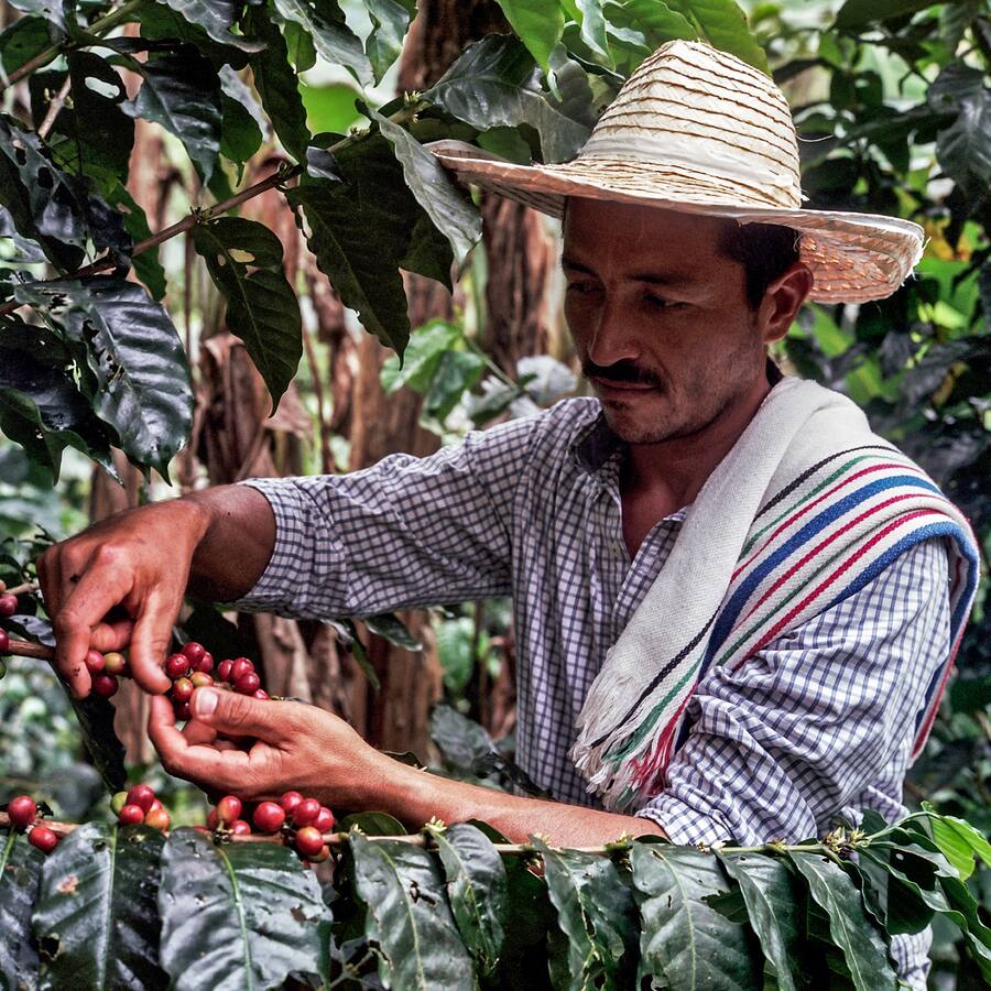 Don Fernando and his family. Caqueta