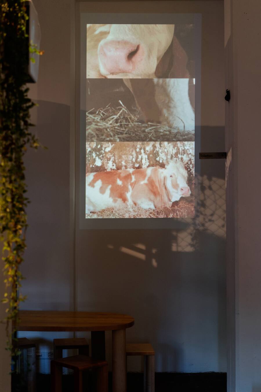 Freude Pop-up im Silosilo von Mauro Bessler und Gregor Betschon