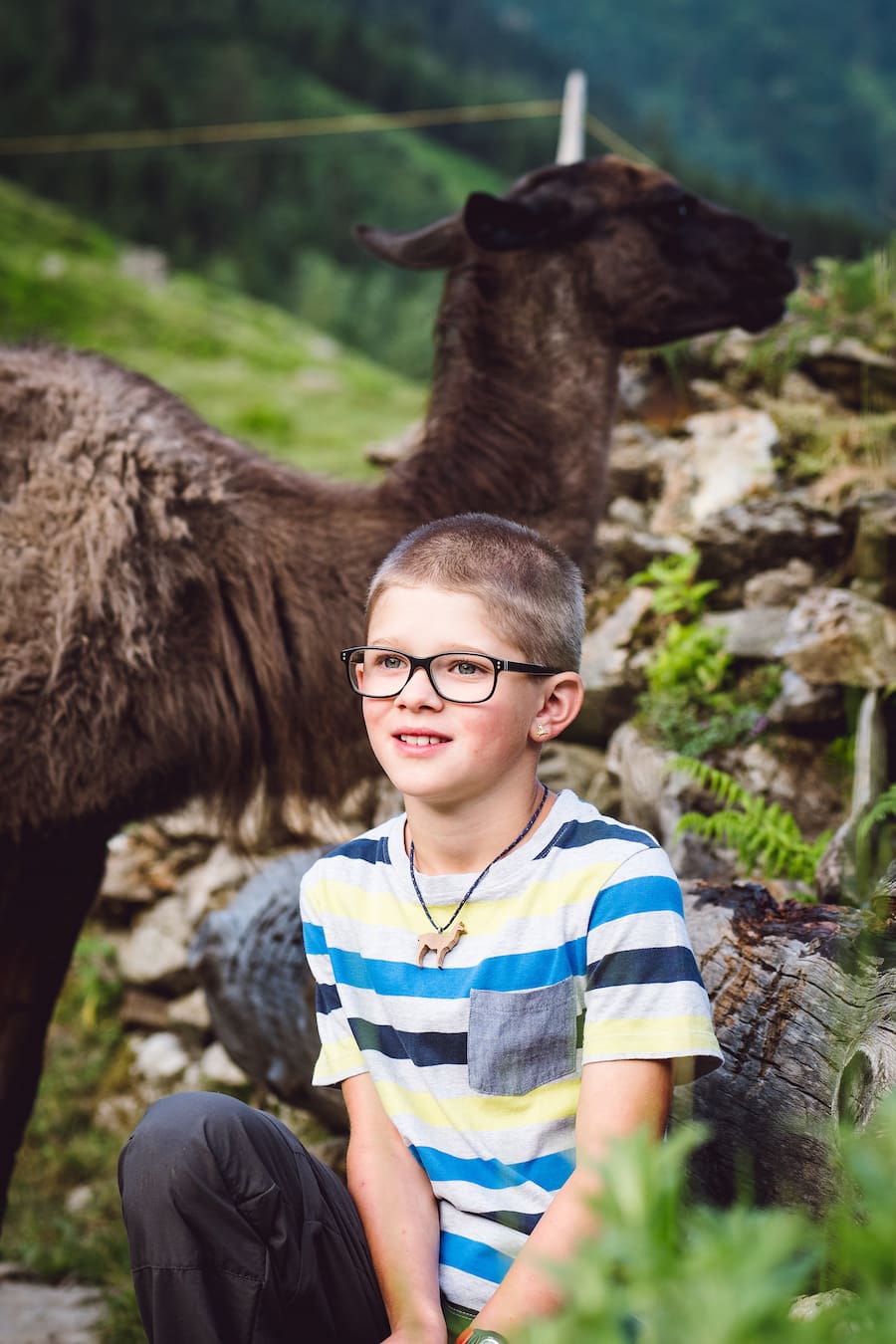 Bristen Lama und Gasthaus im Feld Gurtnellen