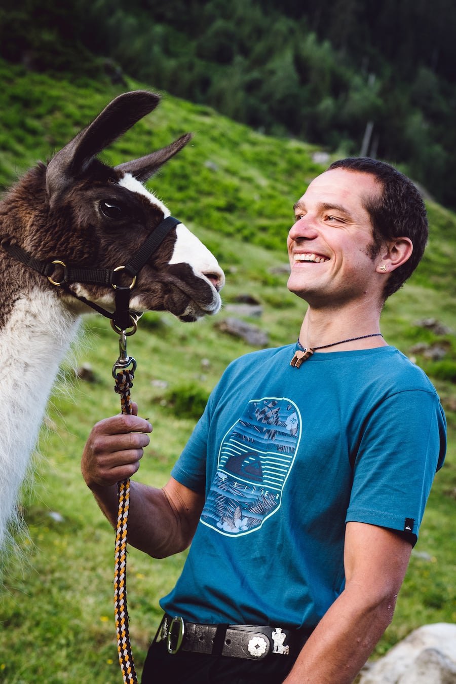 Bristen Lama und Gasthaus im Feld Gurtnellen