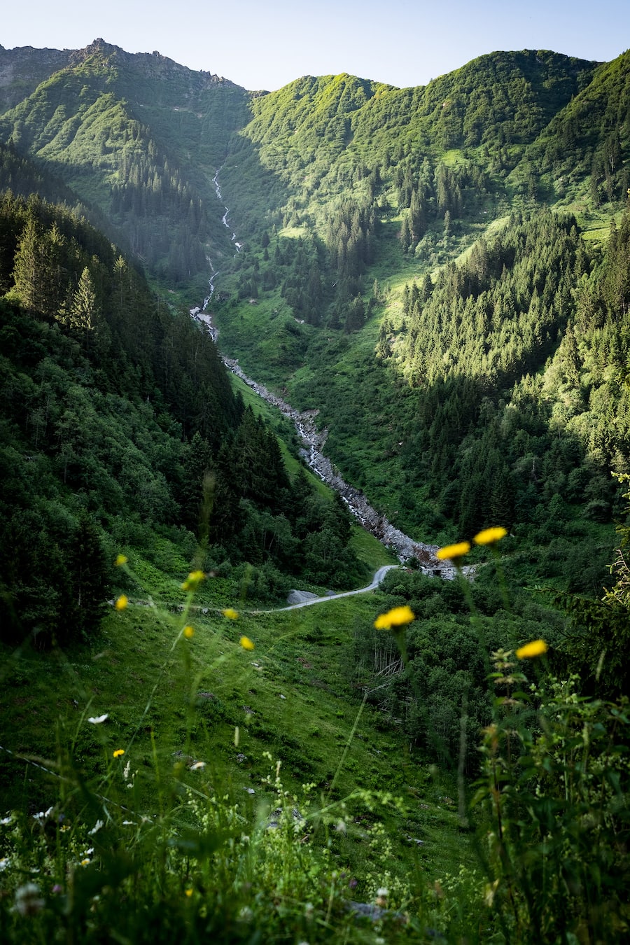 Bristen Lama und Gasthaus im Feld Gurtnellen