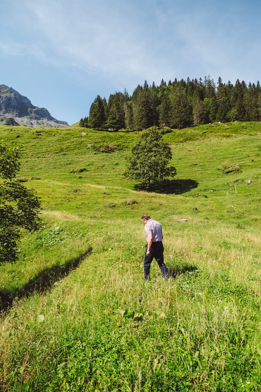Alpkäse mit Richard Stoeckli Alpenblick Wilderswil