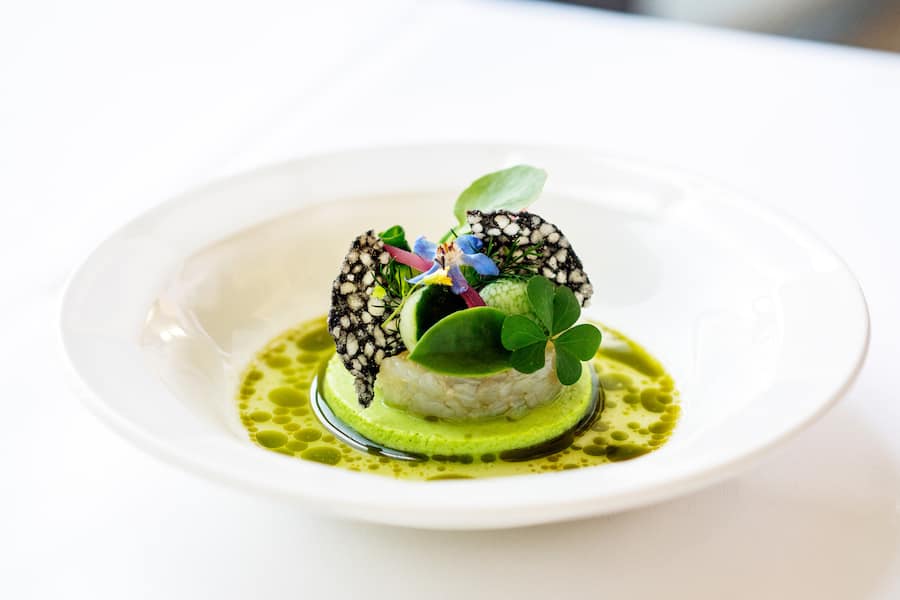 *Mattias Roock (Locanda Barbarossa)*Zander aus dem Lago Maggiore, Pepquiño-Gurke, Sauerrahm, Yuzu