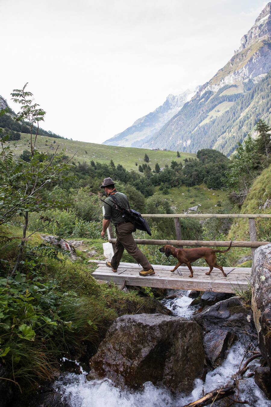 Jagd Engelberg Geny Hess