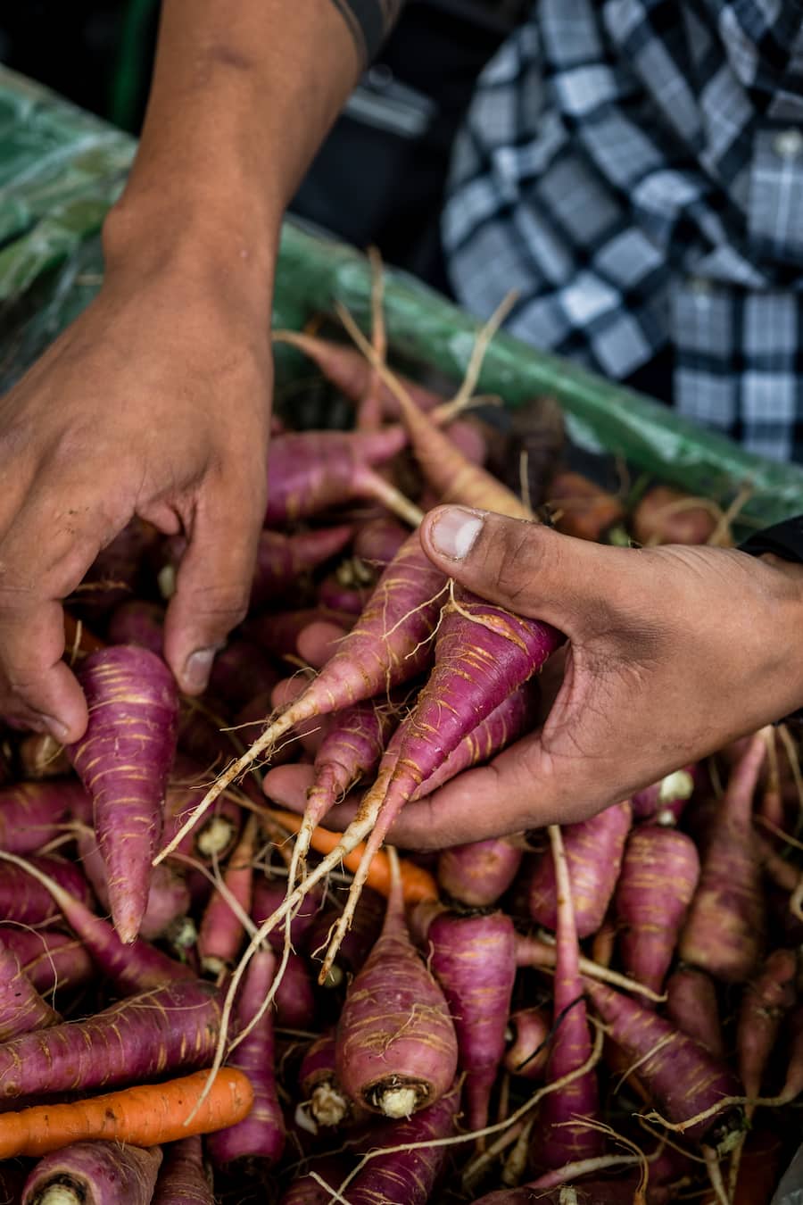 Karim Schumann (Chefkoch) kocht im Münsterhof, Zürich und besucht mit GaultMillau den Wochenmarkt auf dem Bürkliplatz, Zürich - Freitag, 23. August 2019 - Copyright Olivia Pulver