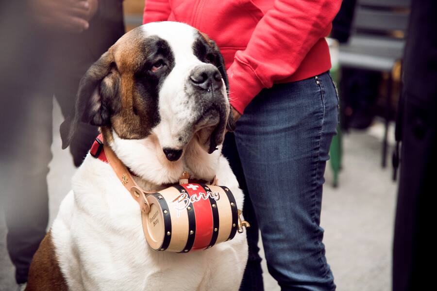 GM_Provins_Eröffnung_preview