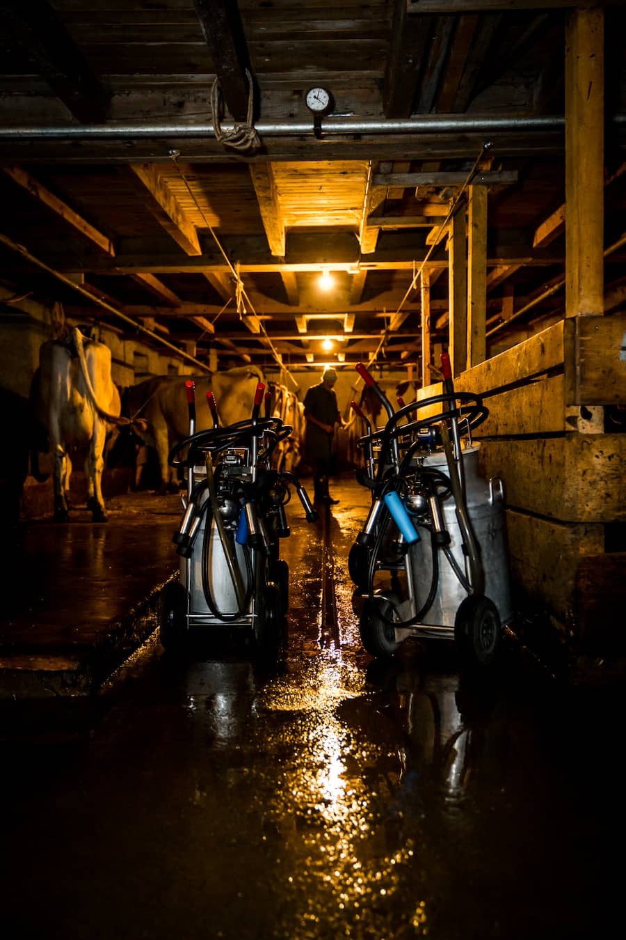 Tobias Funke Heiden Fernsicht