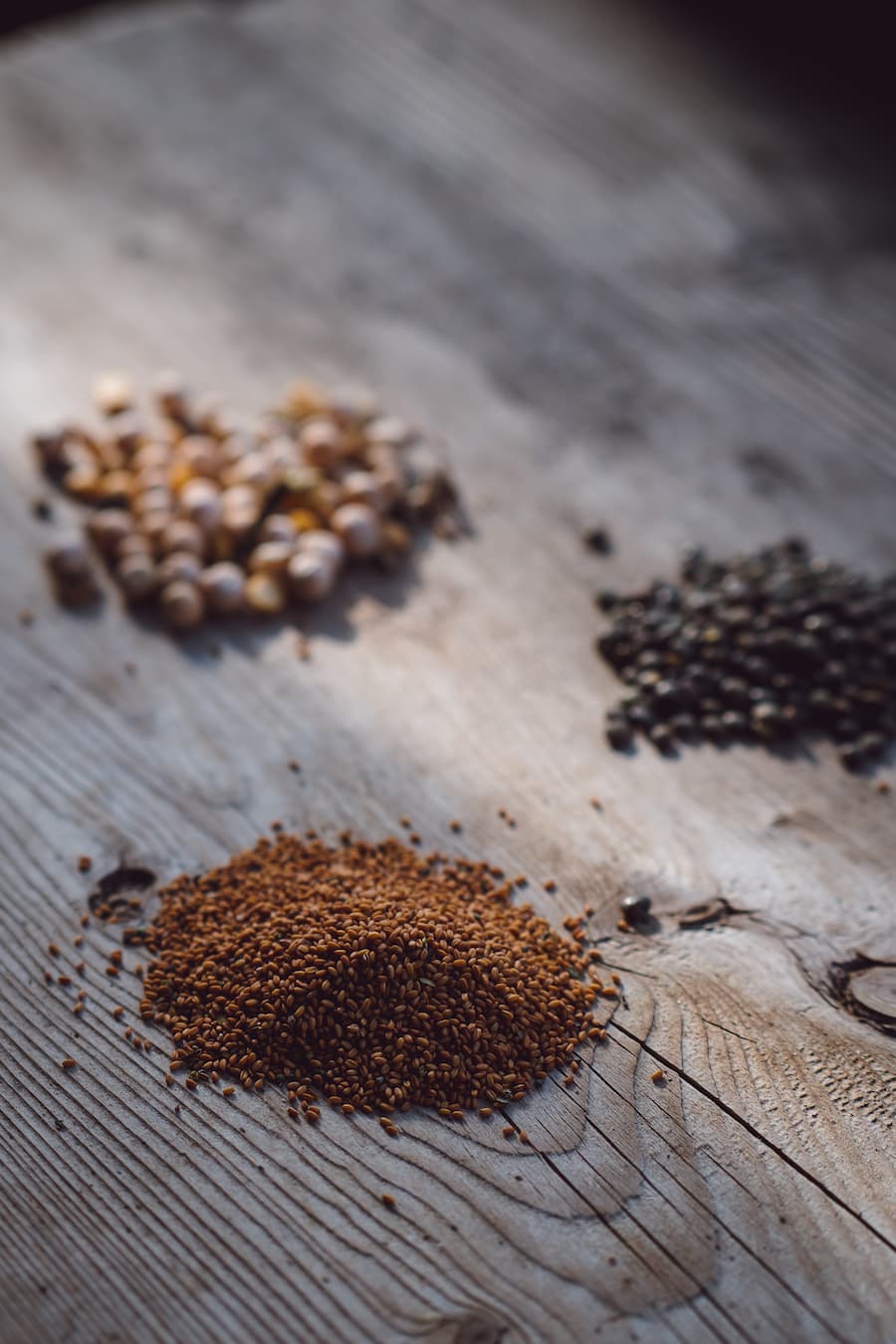 Biohof Dusch Paspels