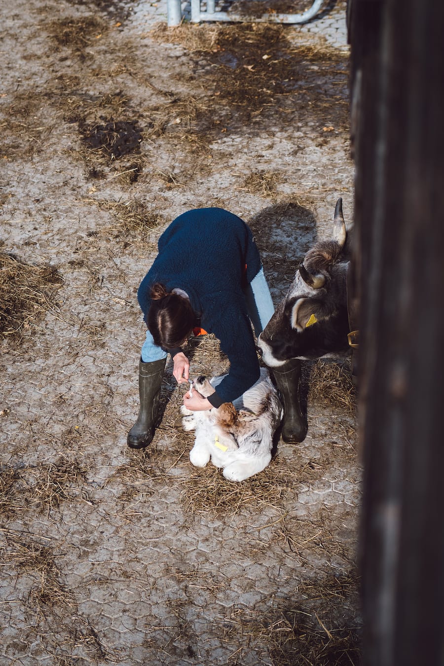 Biohof Dusch Paspels