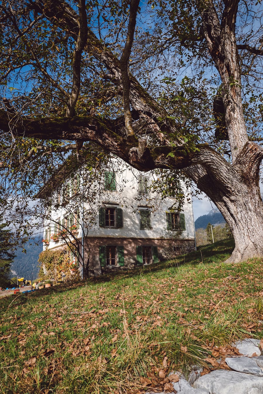 Biohof Dusch Paspels