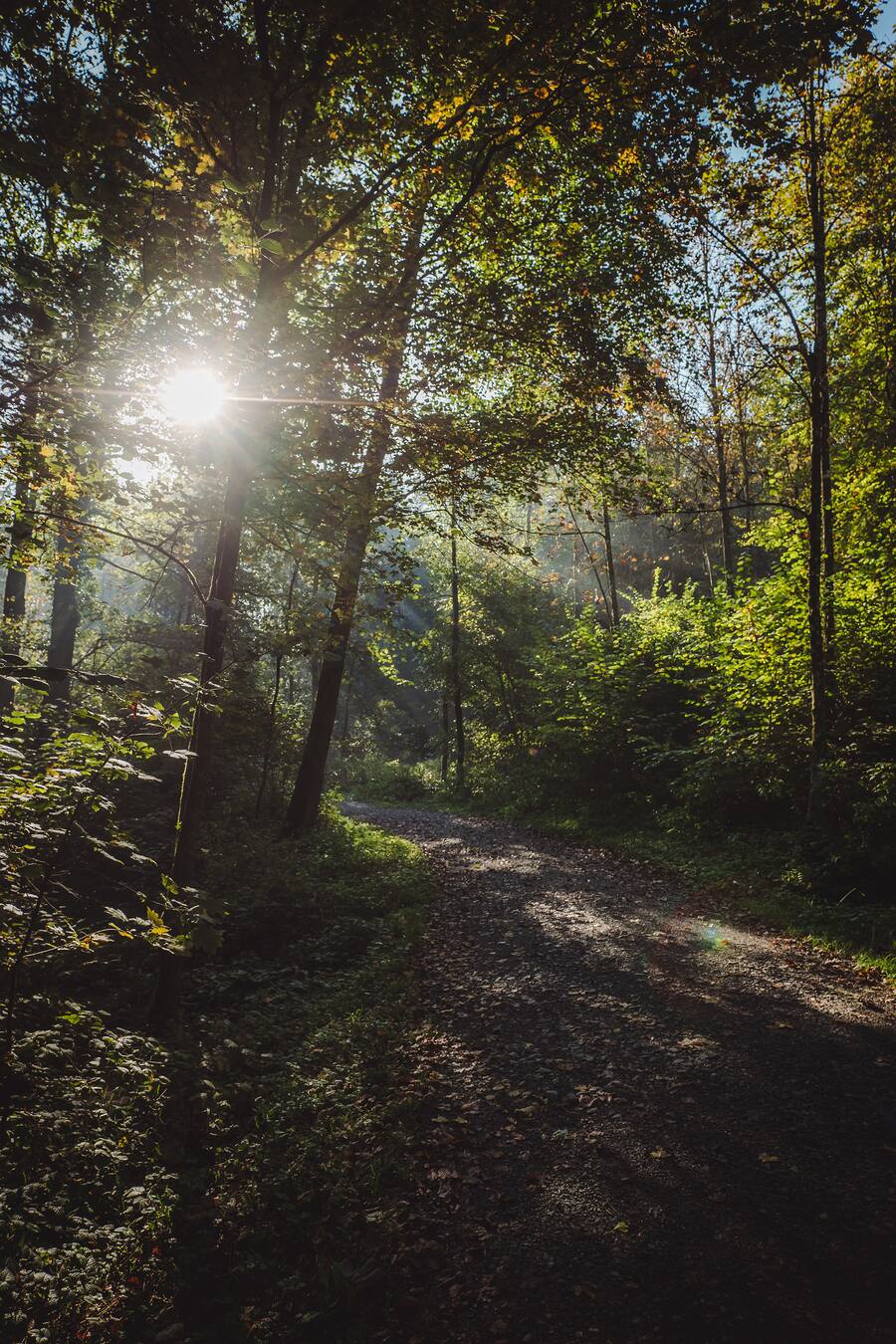 David Krueger Ambassador Zuerich