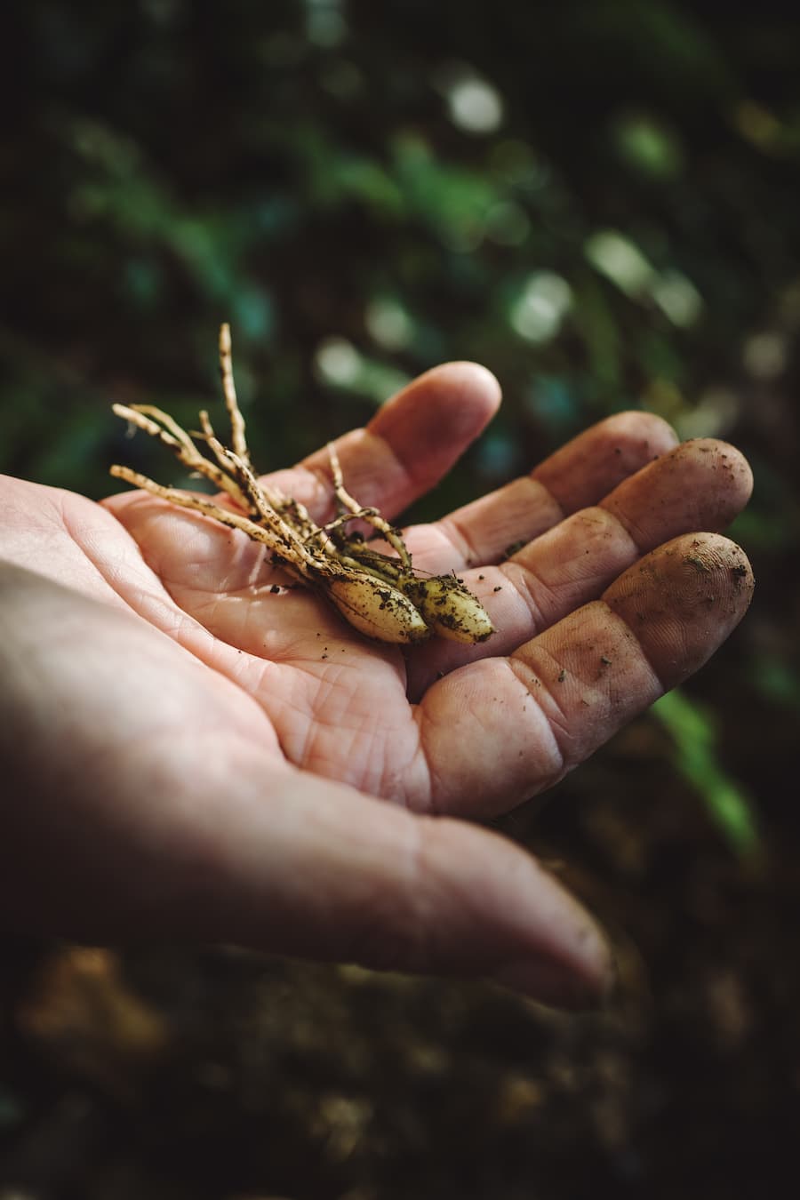 David Krueger Ambassador Zuerich