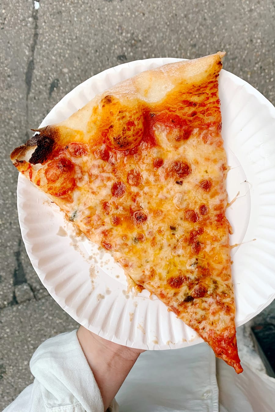 Scarr's Pizza New York