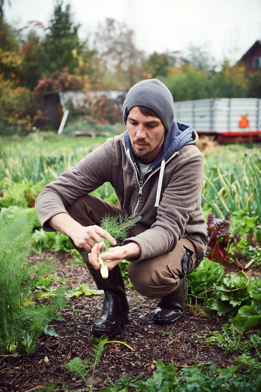 Matthias Holenstein Slow Grow