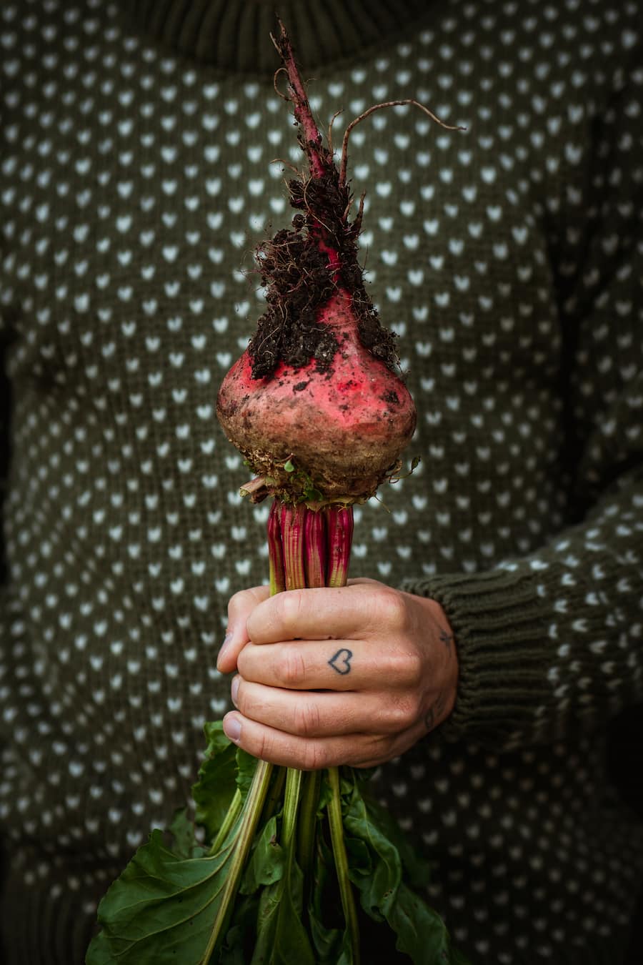 Randen von Matthias Holenstein, Slow Grow Landwirt, Mönchaltorf - Copyright Olivia Pulver