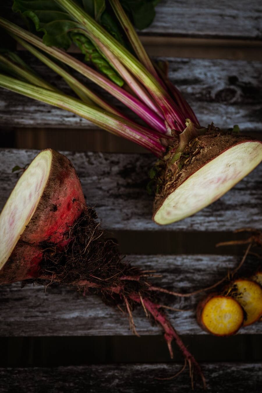 Randen von Matthias Holenstein, Slow Grow Landwirt, Mönchaltorf - Copyright Olivia Pulver