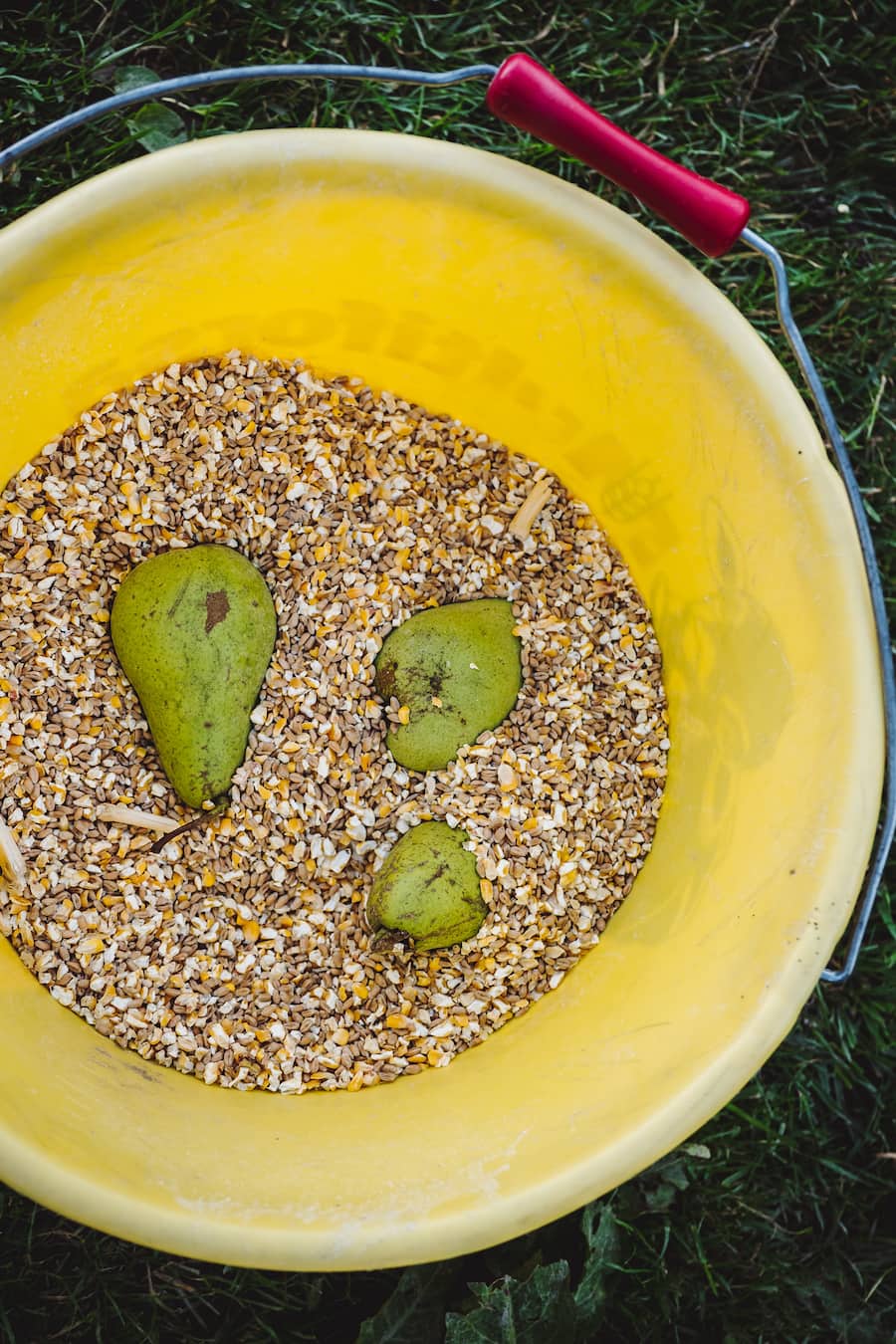 Sebastian Roesch und Roman Clavadetscher Malanser Gans