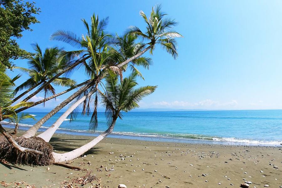 Die schönsten Tauchparadiese der Welt