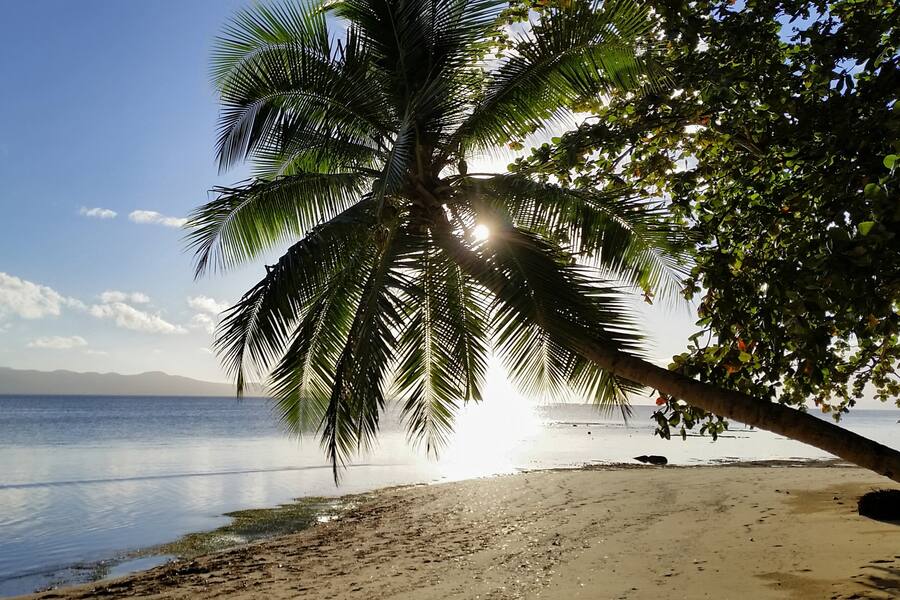 Die schönsten Tauchparadiese der Welt