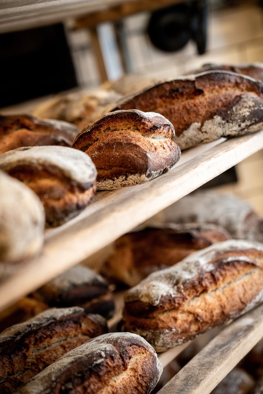 Tobias Funke Fernsicht Werner Kast