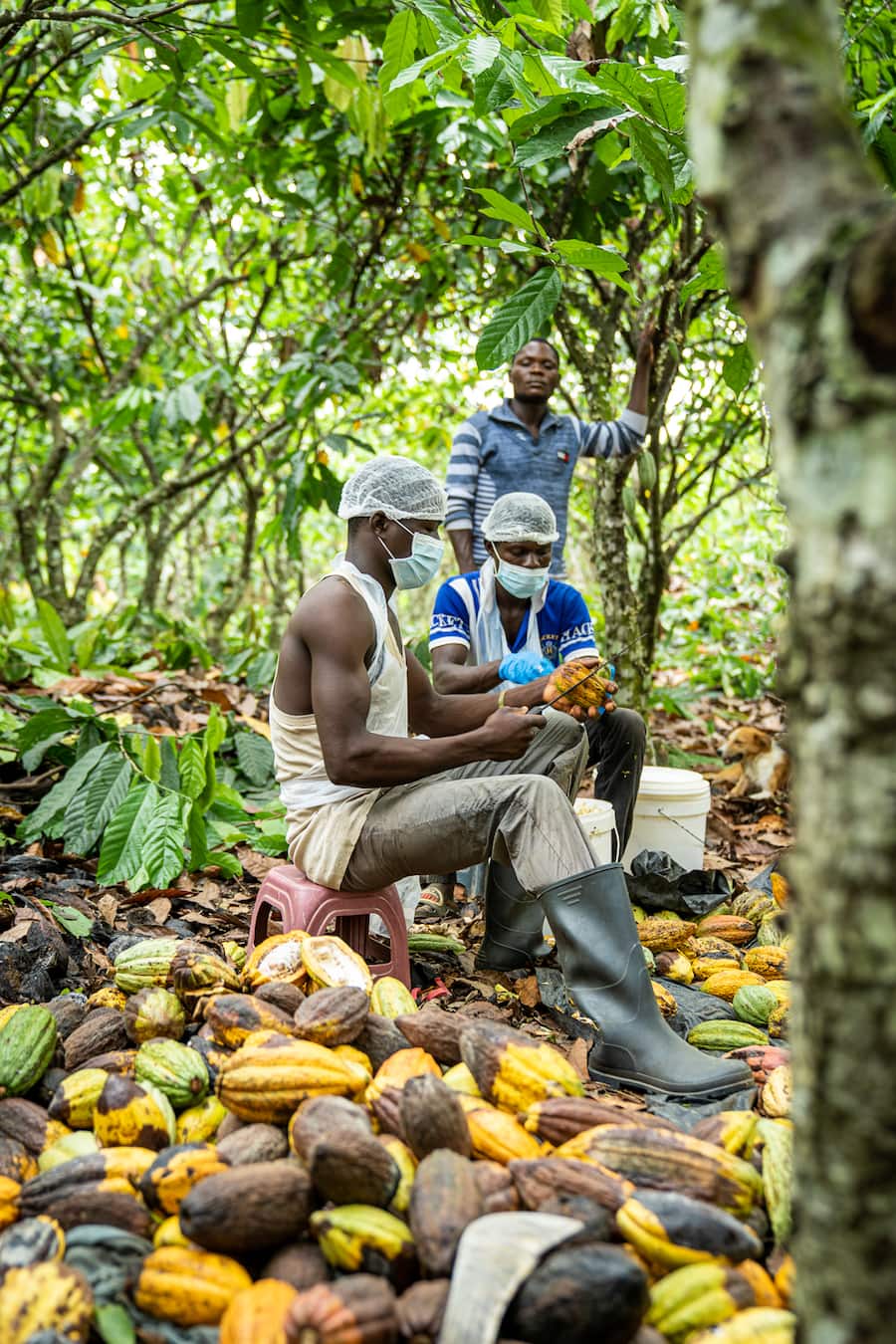 Tobias Funke Gasthaus zur Fernsicht Heiden Koa Ghana