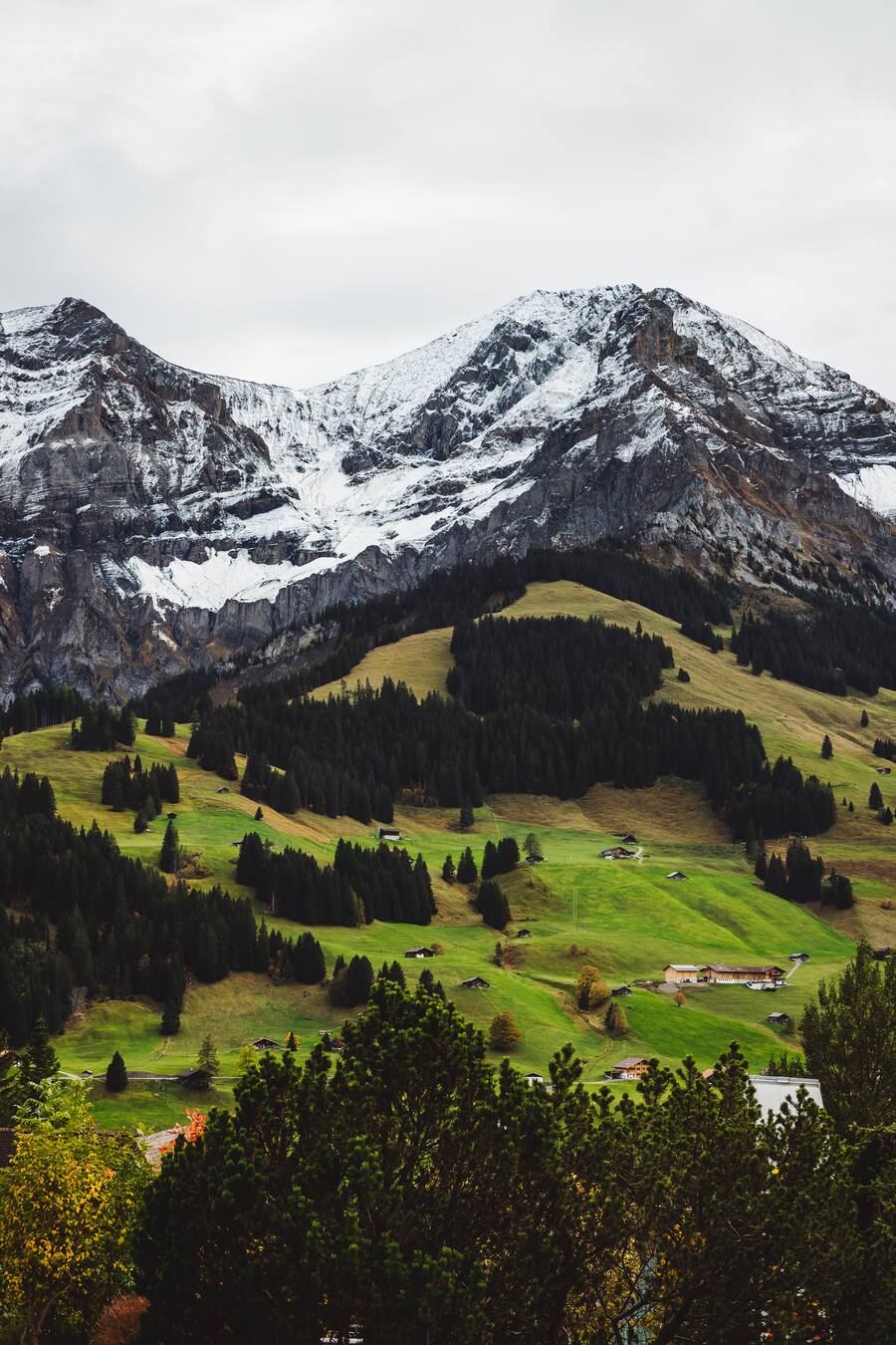 Adelboden - Björn Inniger ist Chef im Restaurant Alpenblick in Adelboden und Einmach-Profi. Für GM macht er Quitten ein. - Donnerstag, 17.10.19 - Copyright Olivia Pulver