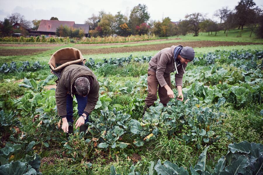 Markus Burkhard Restaurant Jakob Rapperswil
