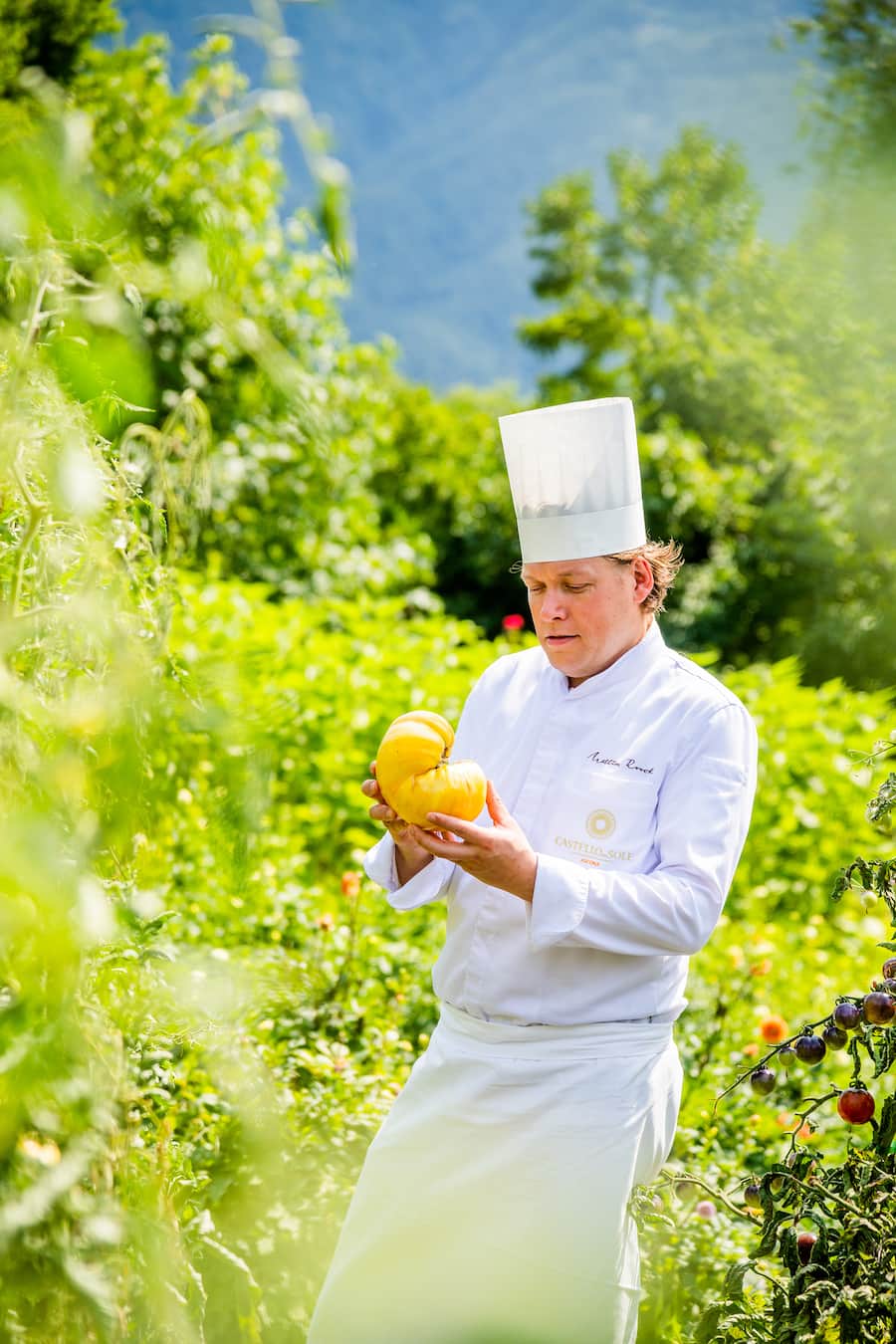 Terreni alla Maggia und Castello del Sole Ascona